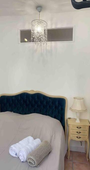 Magnifique Appartement Plein Coeur Avignon Intra-Muros Eksteriør bilde